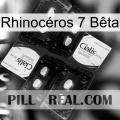 Rhinocéros 7 Bêta cialis5